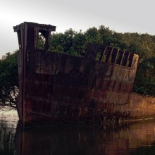 The Floating Forest, la nave da guerra divenuta foresta galleggiante | Sydney