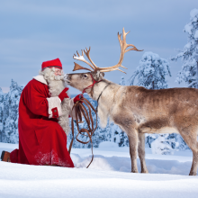 Il Natale secondo Coolture Hunter